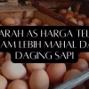 Sejarah AS Harga Telur Ayam Lebih Mahal Dari Daging Sapi